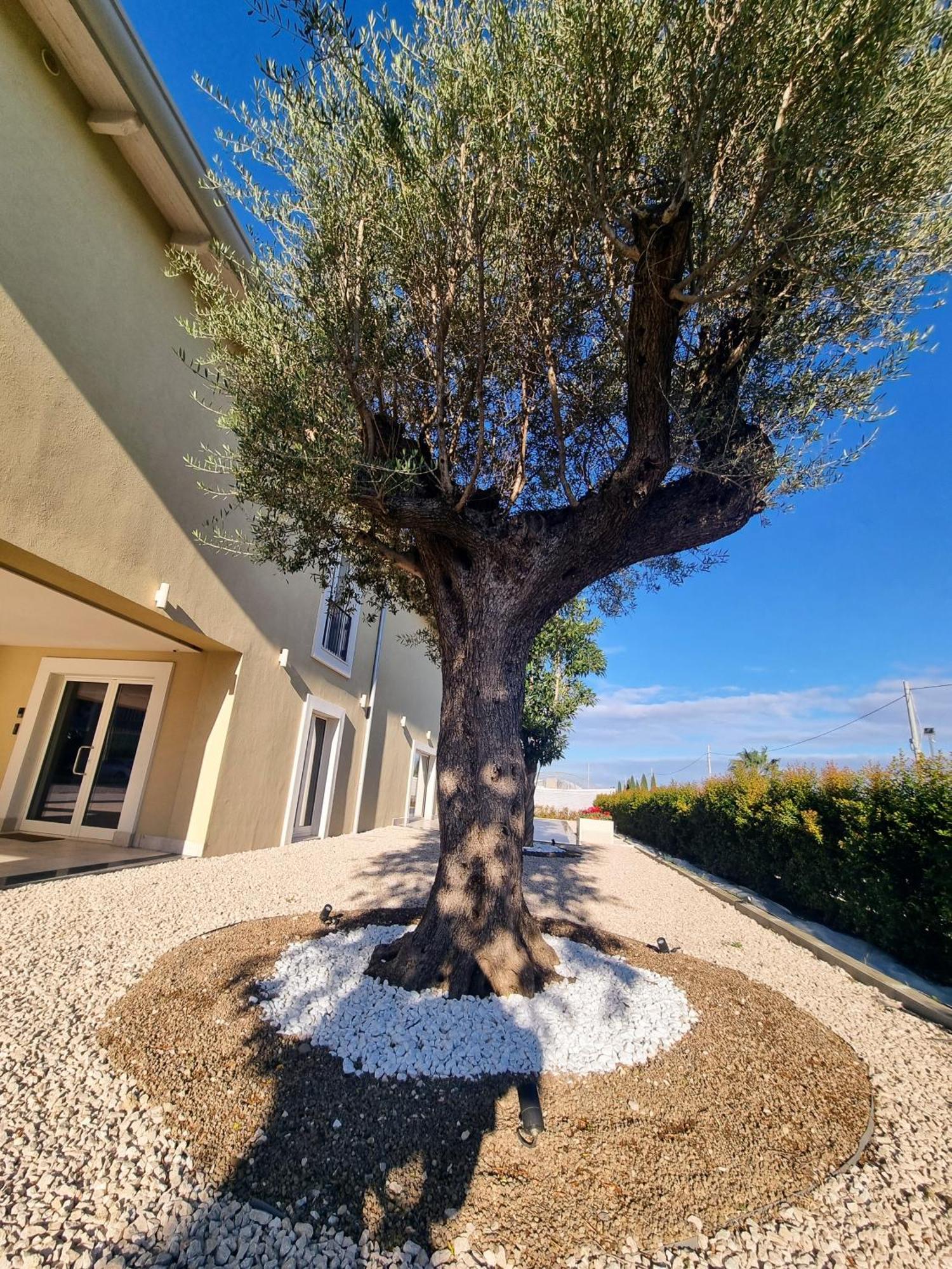 Ro Agrimaison Volla  Bagian luar foto